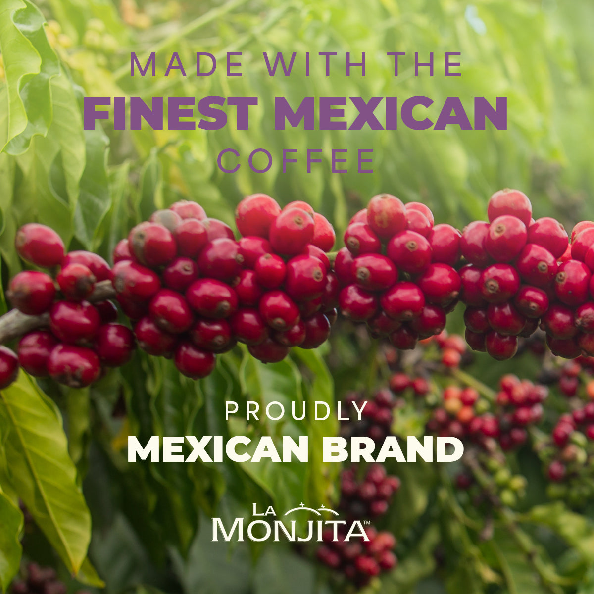 La Monjita Mexican Coffee Cafe de la Olla