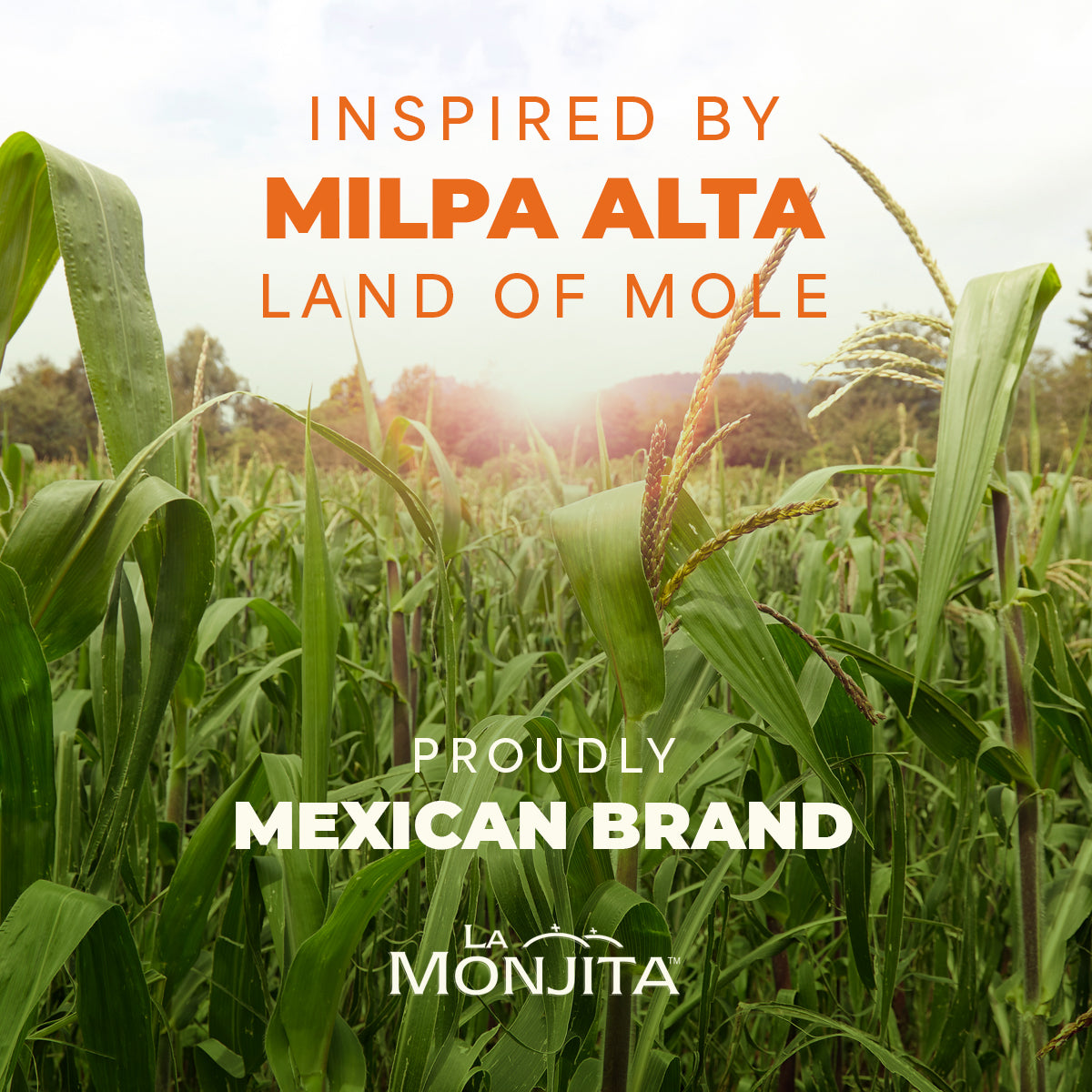 La Monjita Mexican Traditional Mole Sauce