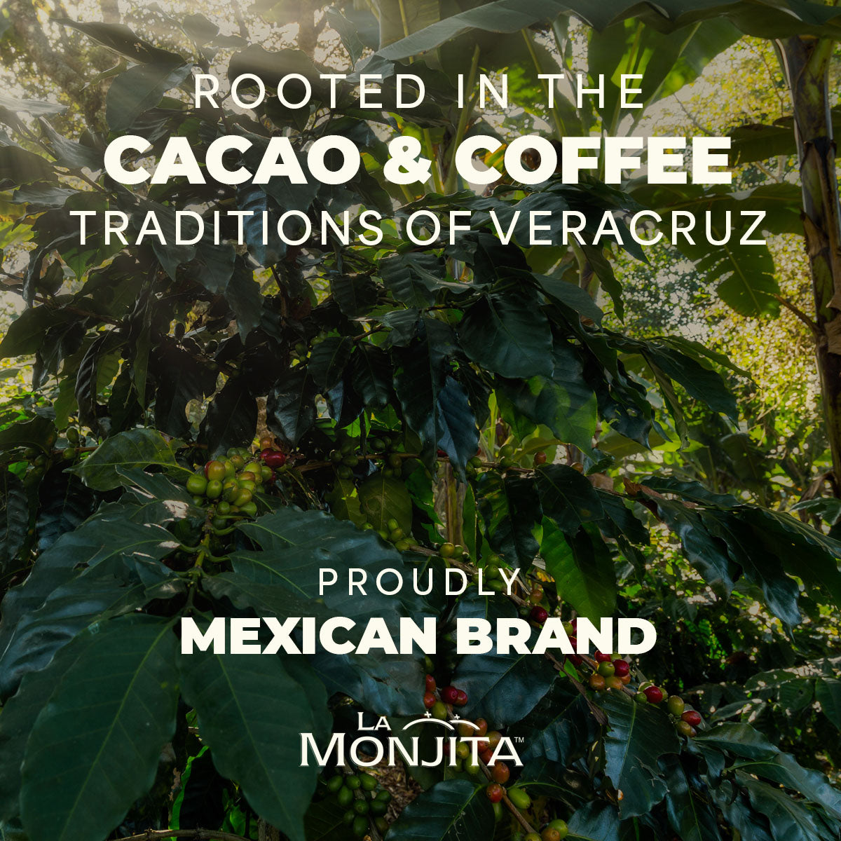 Traditional Chocolate Veracruz