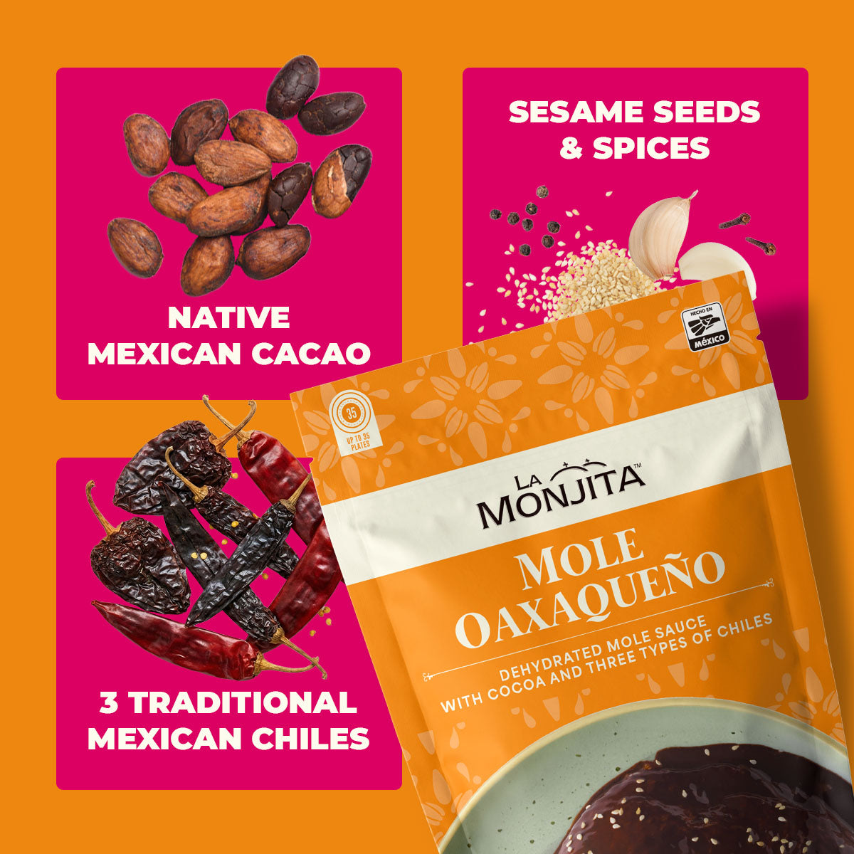 Traditional Mole Oaxaqueño