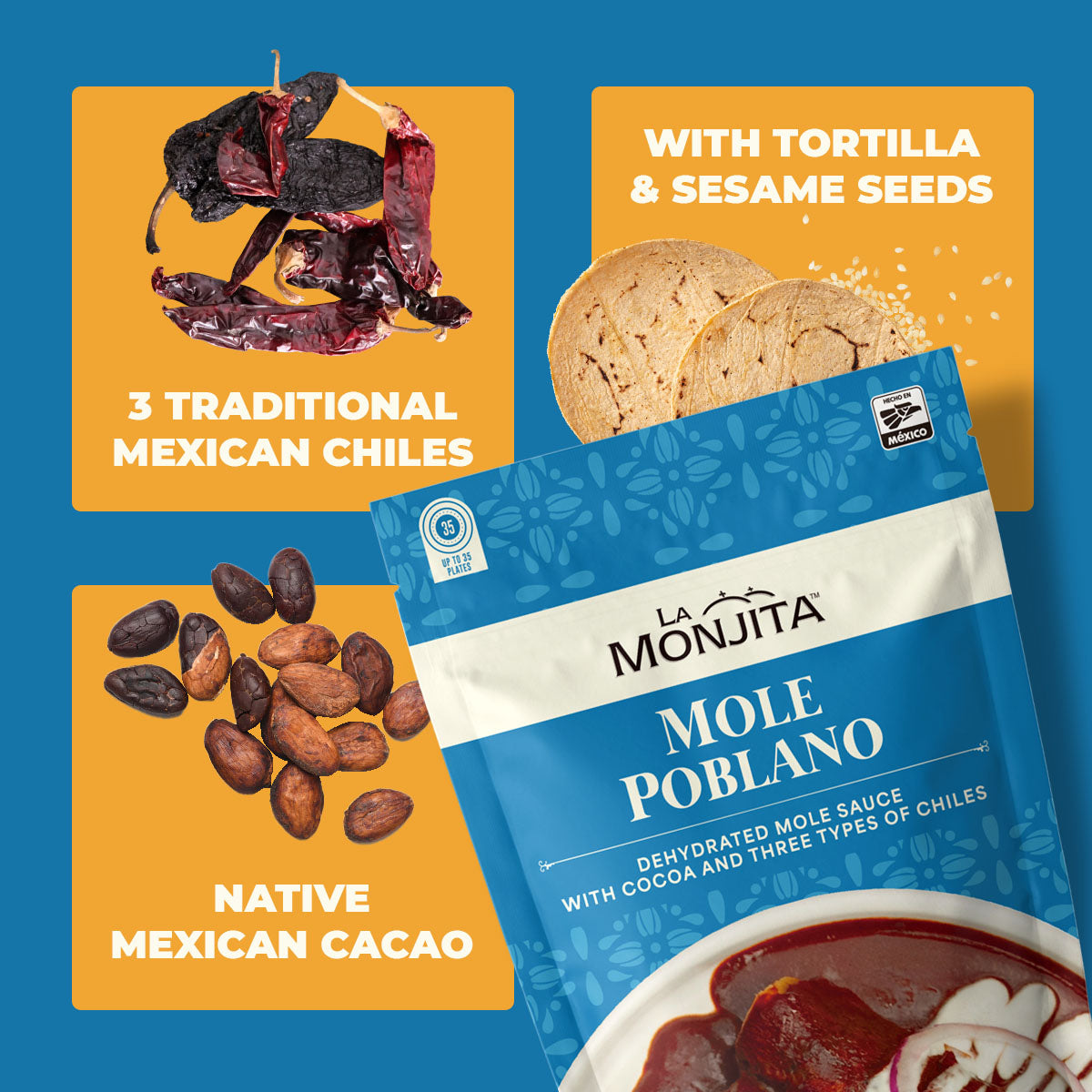 Traditional Mole Poblano