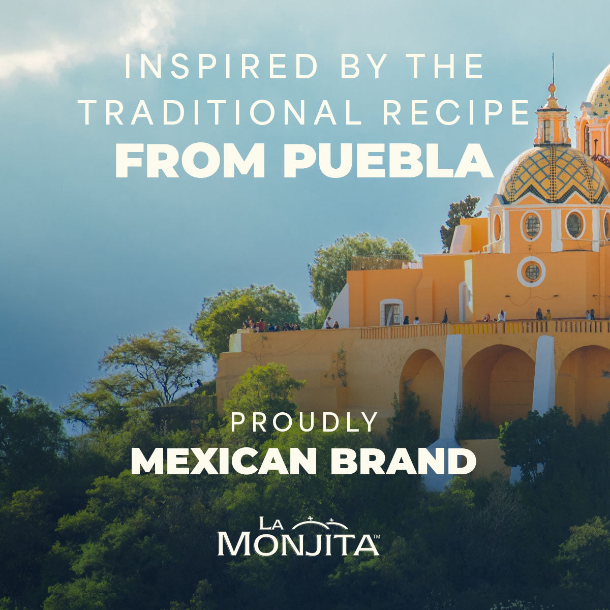 Traditional Mole Poblano